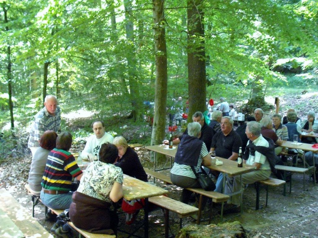 Dollenbrunnenfest 2011 016.JPG